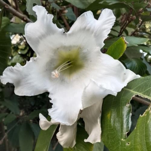 สมาชิกหมายเลข 8124798