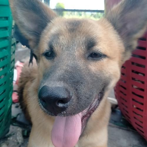 สมาชิกหมายเลข 9187486