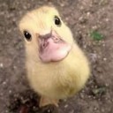 สมาชิกหมายเลข 3850372