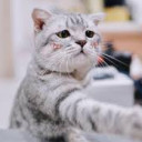 สมาชิกหมายเลข 4539732