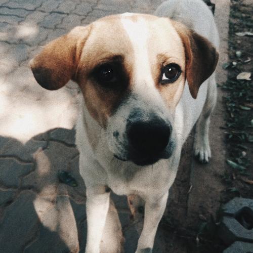 สมาชิกหมายเลข 5057624