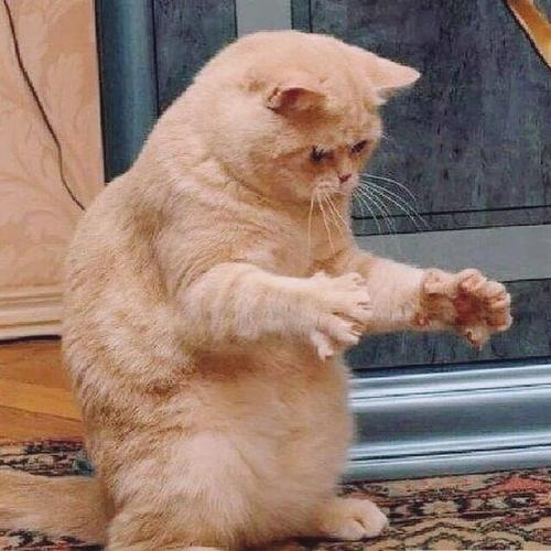 สมาชิกหมายเลข 5342077