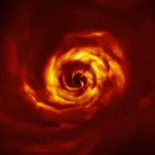 สมาชิกหมายเลข 2031269