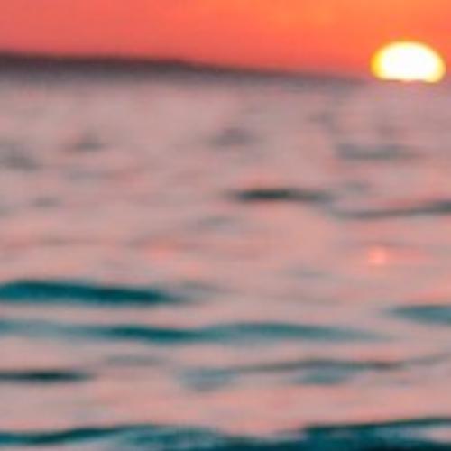 สมาชิกหมายเลข 5971680