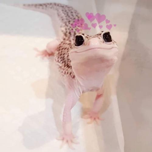 สมาชิกหมายเลข 5973210