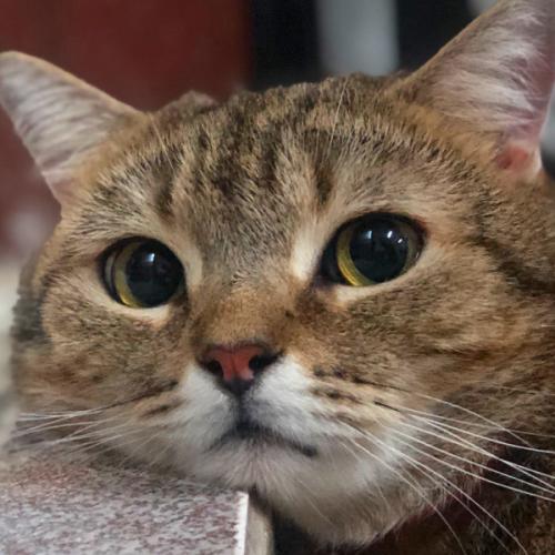 สมาชิกหมายเลข 931513