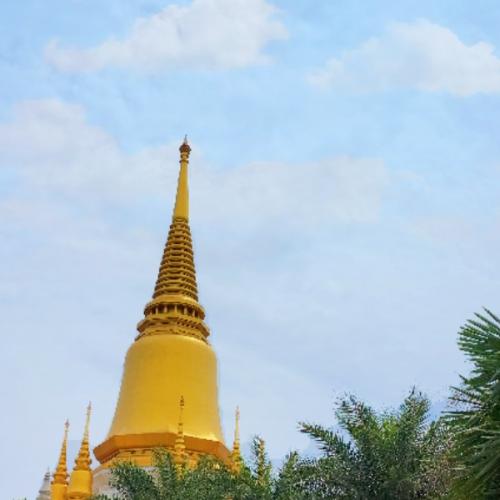 สมาชิกหมายเลข 7188898