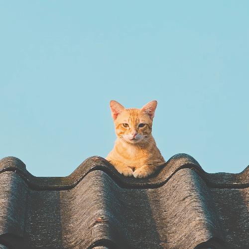 สมาชิกหมายเลข 5162899