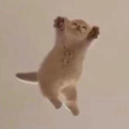 สมาชิกหมายเลข 5822041