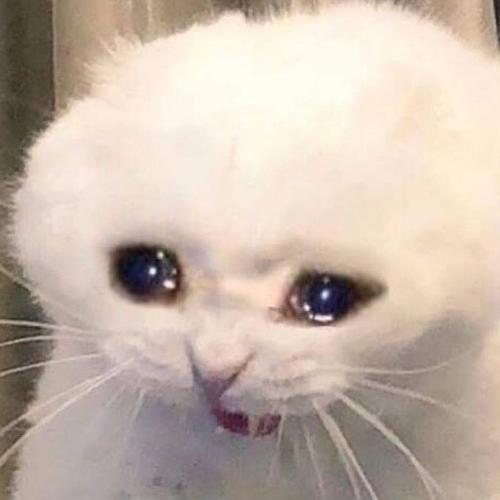 สมาชิกหมายเลข 7693631