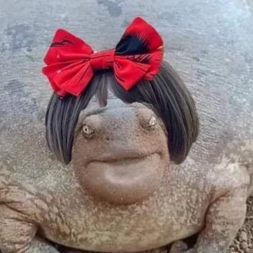 สมาชิกหมายเลข 8138547