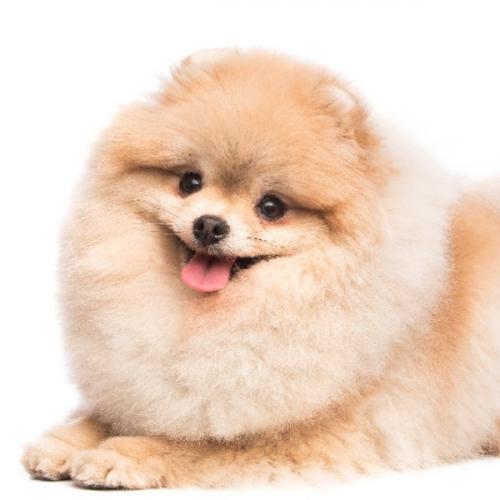 สมาชิกหมายเลข 9188005