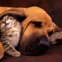 สมาชิกหมายเลข 3791785