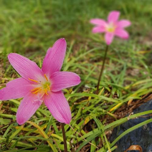 นั่งอยู่ตรงนี้