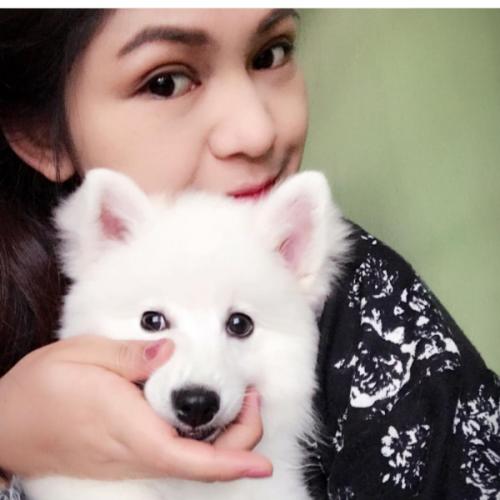 สมาชิกหมายเลข 5058452