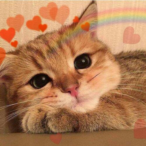 สมาชิกหมายเลข 5058624