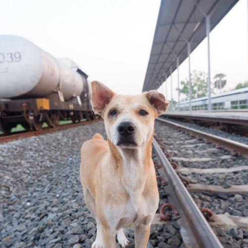 สมาชิกหมายเลข 5134095