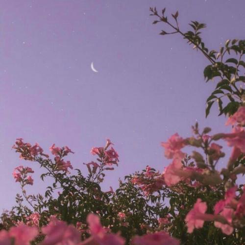 สมาชิกหมายเลข 5295797