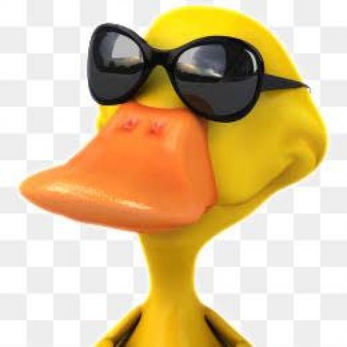 สมาชิกหมายเลข 5451379