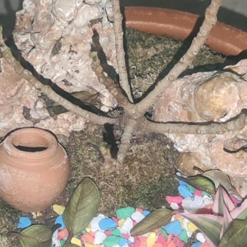 สมาชิกหมายเลข 6582088