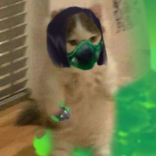 สมาชิกหมายเลข 6582132