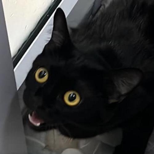 สมาชิกหมายเลข 8151287