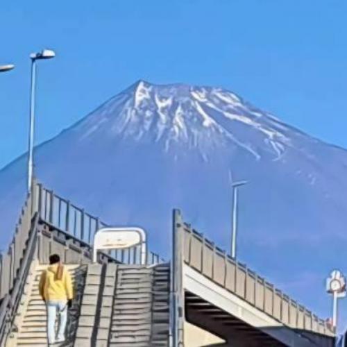 สมาชิกหมายเลข 3060332