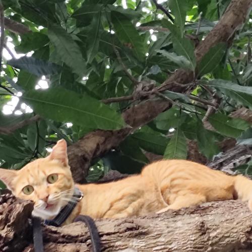 สมาชิกหมายเลข 3770927