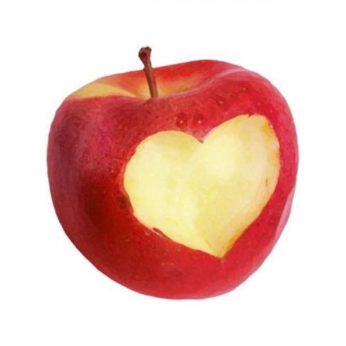 สมาชิกหมายเลข 5191158