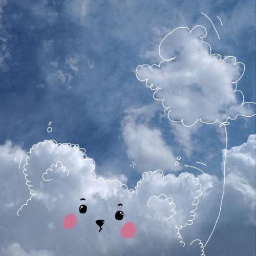 สมาชิกหมายเลข 9189894