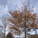 สมาชิกหมายเลข 3622392