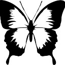 สมาชิกหมายเลข 3850972