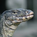 สมาชิกหมายเลข 3851238