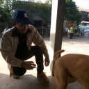 สมาชิกหมายเลข 3906803