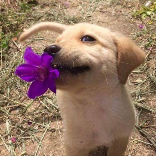 สมาชิกหมายเลข 4692409