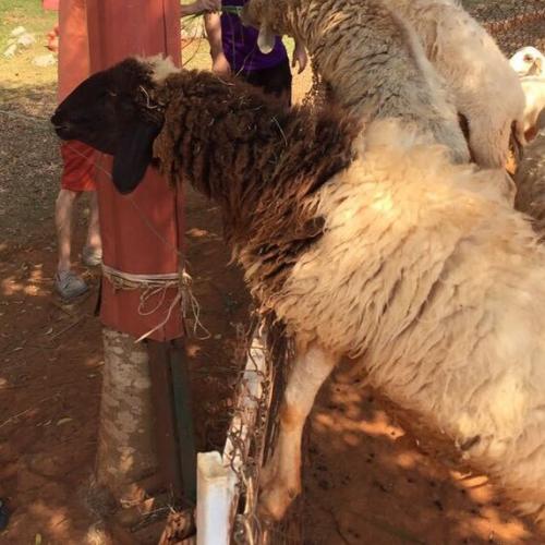 สมาชิกหมายเลข 5451894