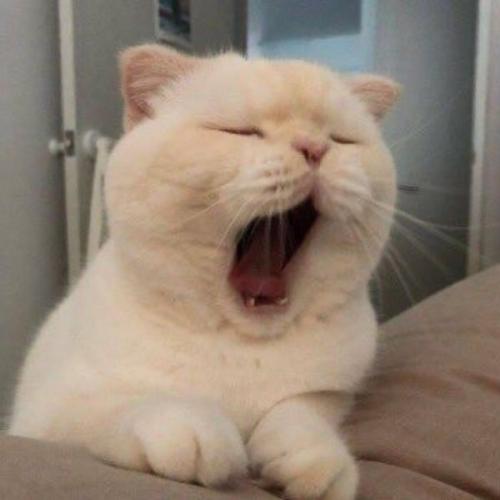 สมาชิกหมายเลข 3970019