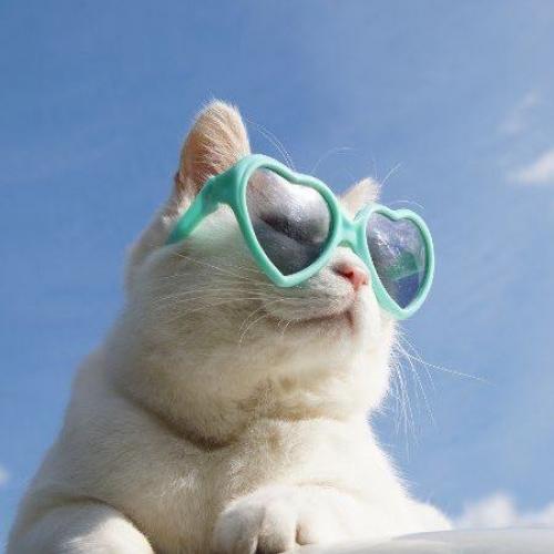 สมาชิกหมายเลข 4032081