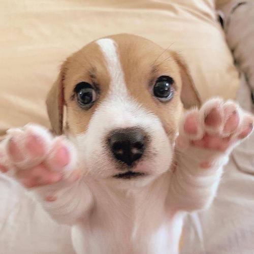 สมาชิกหมายเลข 4080539