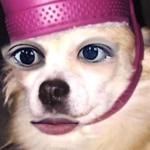 สมาชิกหมายเลข 6448339