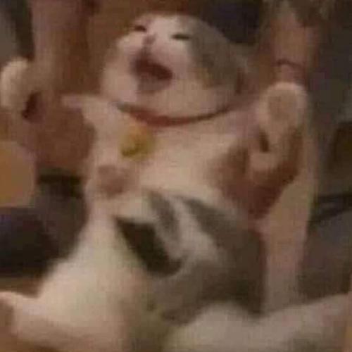 สมาชิกหมายเลข 6566899