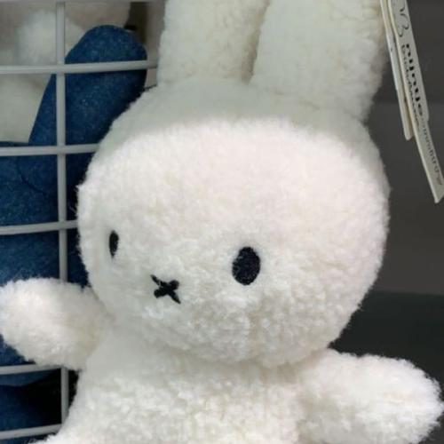 สมาชิกหมายเลข 7315691