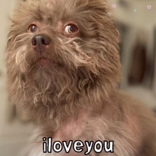 สมาชิกหมายเลข 5908931