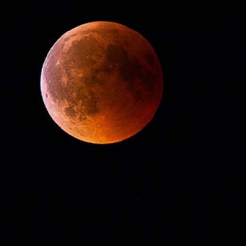 สมาชิกหมายเลข 1344576