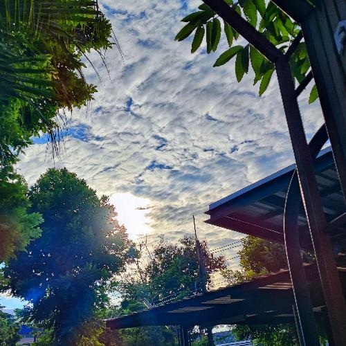 สมาชิกหมายเลข 7412056