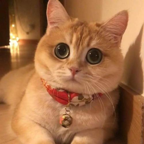 สมาชิกหมายเลข 4693021