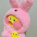 สมาชิกหมายเลข 1914627