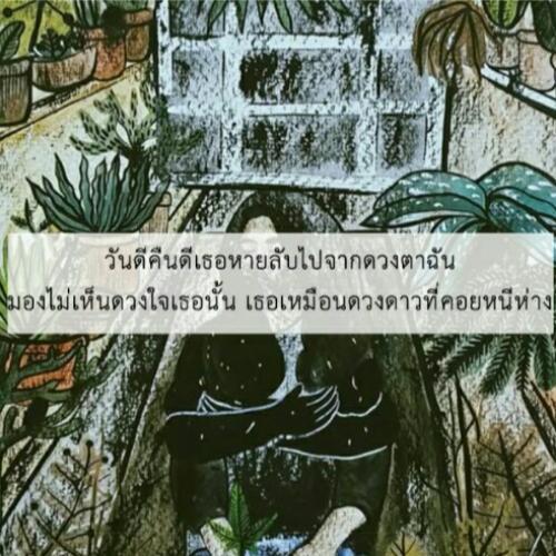 สมาชิกหมายเลข 4991428