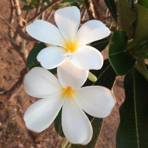 สมาชิกหมายเลข 5975086