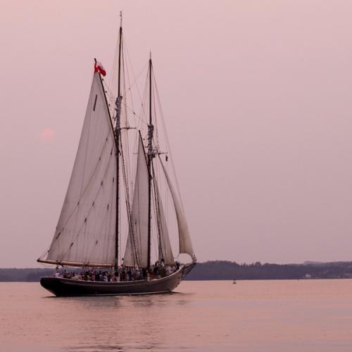 สมาชิกหมายเลข 4964696